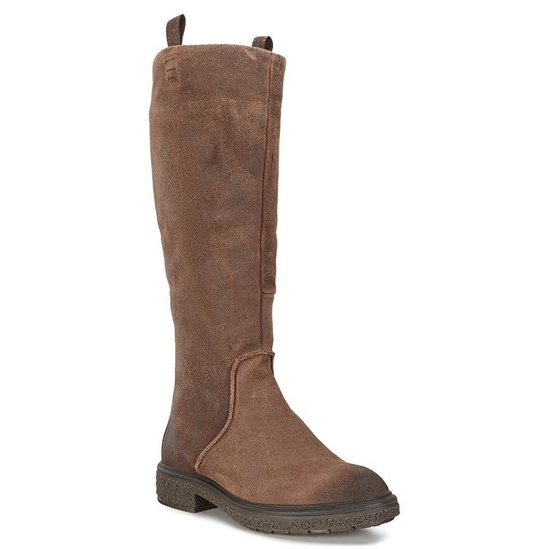Women Boots Ecco Crepetray Hybrid L - Boots Brown - India LNXGJE184